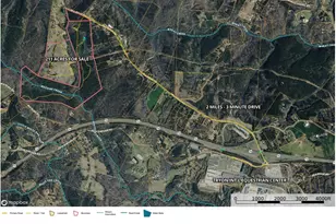 1888 Pea Ridge Rd, Mill Spring, NC 28756 - Photo 31