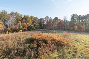 1888 Pea Ridge Rd, Mill Spring, NC 28756 - Photo 9