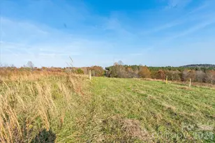 1888 Pea Ridge Rd, Mill Spring, NC 28756 - Photo 9