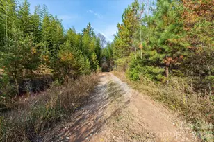 1888 Pea Ridge Rd, Mill Spring, NC 28756 - Photo 17