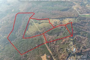 1888 Pea Ridge Rd, Mill Spring, NC 28756 - Photo 27