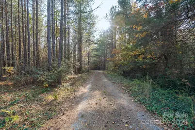 1888 Pea Ridge Road, Mill Spring, NC 28756 - Photo 17