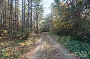 1888 Pea Ridge Rd, Mill Spring, NC 28756 - Photo 17