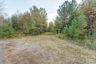 1888 Pea Ridge Rd, Mill Spring, NC 28756 - Photo 23