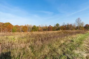 1888 Pea Ridge Rd, Mill Spring, NC 28756 - Photo 15