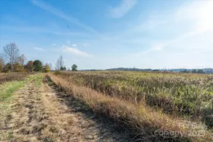 1888 Pea Ridge Rd, Mill Spring, NC 28756 - Photo 7