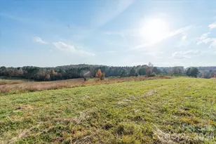 1888 Pea Ridge Rd, Mill Spring, NC 28756 - Photo 11