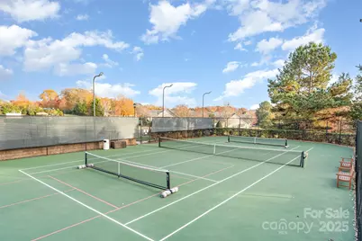 253 Garnet Court, Fort Mill, SC 29708 - Photo 43