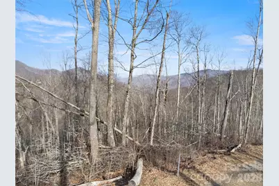 Tbd S Ridge Runner Road, Burnsville, NC 28714 - Photo 3