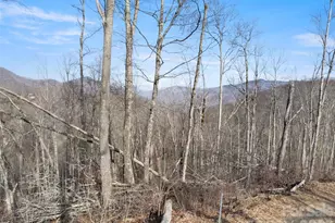 Tbd S Ridge Runner Rd, Burnsville, NC 28714 - Photo 3