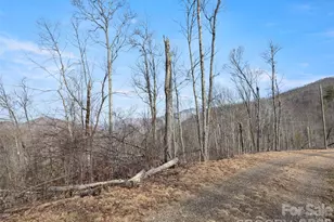 Tbd S Ridge Runner Rd, Burnsville, NC 28714 - Photo 1