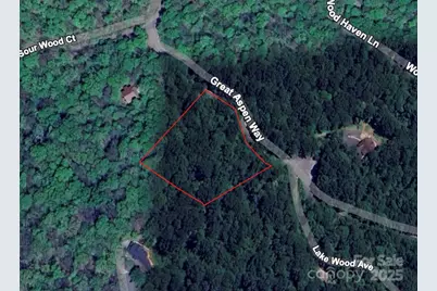 48 Great Aspen Way, Black Mountain, NC 28711 - Photo 1