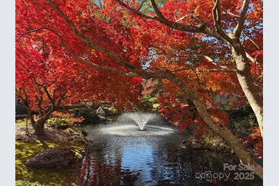 16 Lakemoor Lane, Hendersonville, NC 28739 - Photo 41