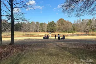 10915 Sycamore Club Dr, Mint Hill, NC 28227 - Photo 45