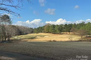 10915 Sycamore Club Dr, Mint Hill, NC 28227 - Photo 43