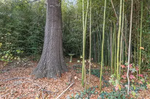 281 Sutton Road S, Fort Mill, SC 29708 - Photo 19