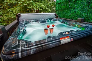 28 Grove Garden Ave, Candler, NC 28715 - Photo 5