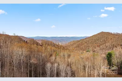 2650 Secluded Valley Road, Marshall, NC 28753 - Photo 29