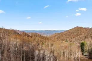 2650 Secluded Vly Rd, Marshall, NC 28753 - Photo 29