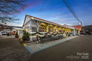 540 Toot Hollow Rd, Bryson City, NC 28713 - Photo 43