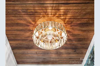 340 Blaynes Trail, Rutherfordton, NC 28139 - Photo 23