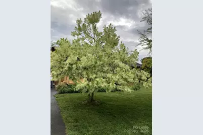 179 Rutledge Road, Fletcher, NC 28732 - Photo 3