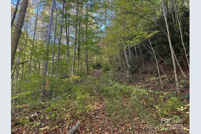 000 Hamburg Road #49, Mars Hill, NC 28754 - Photo 7