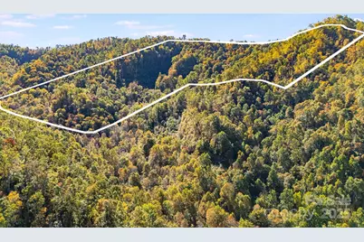 000 Hamburg Road #49, Mars Hill, NC 28754 - Photo 1