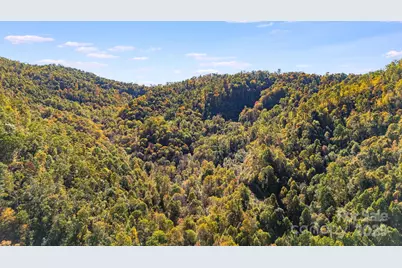 000 Hamburg Road #49, Mars Hill, NC 28754 - Photo 13