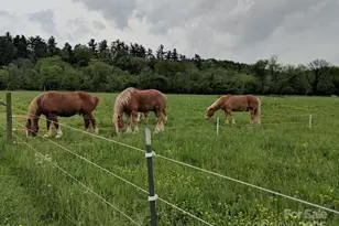 37 Bittersweet Dr, Hendersonville, NC 28792 - Photo 23