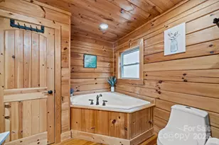 749 Henry Thompson Rd, Tryon, NC 28782 - Photo 21