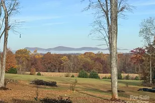 225 Zeb Rd, Union Grove, NC 28689 - Photo 35