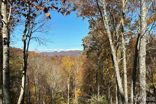 126 Mossy Cup Ct, Tuckasegee, NC 28783 - Photo 27