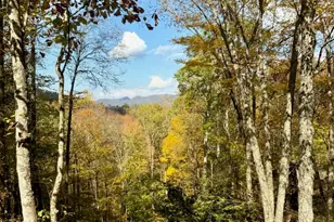 126 Mossy Cup Ct, Tuckasegee, NC 28783 - Photo 3