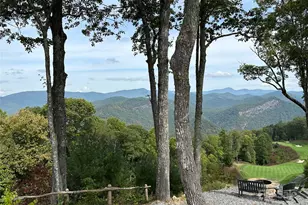 126 Mossy Cup Ct, Tuckasegee, NC 28783 - Photo 29