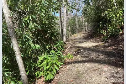 126 Mossycup Court, Tuckasegee, NC 28783 - Photo 41