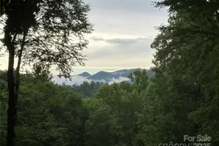 126 Mossy Cup Ct, Tuckasegee, NC 28783 - Photo 27