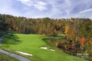 126 Mossy Cup Ct, Tuckasegee, NC 28783 - Photo 43