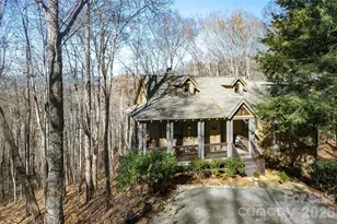 126 Mossy Cup Ct, Tuckasegee, NC 28783 - Photo 5