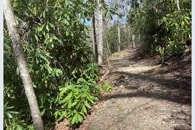 126 Mossycup Court, Tuckasegee, NC 28783 - Photo 41