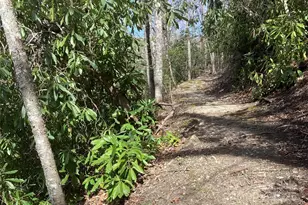 126 Mossy Cup Ct, Tuckasegee, NC 28783 - Photo 41