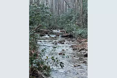 126 Mossycup Court, Tuckasegee, NC 28783 - Photo 31