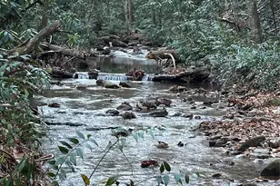 126 Mossy Cup Ct, Tuckasegee, NC 28783 - Photo 31