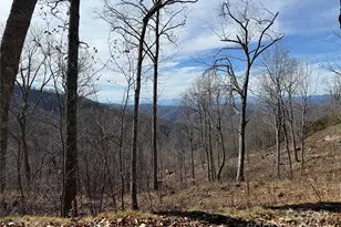 Lot 5 Slickrock Rd, Burnsville, NC 28714 - Photo 3