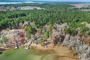 2236 White Heron Rd, Liberty Hill, SC 29704 - Photo 39