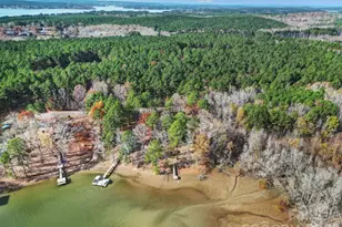 2236 White Heron Rd, Liberty Hill, SC 29704 - Photo 39