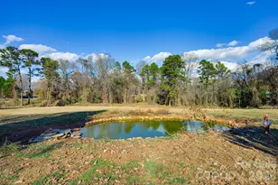 6362 Sherrills Ford Rd, Catawba, NC 28609 - Photo 3