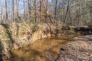 1905 McEntire Rd, Tryon, NC 28782 - Photo 35