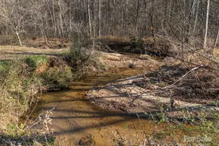 1905 McEntire Rd, Tryon, NC 28782 - Photo 39