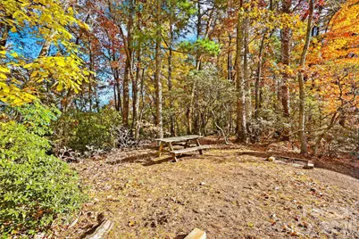 675 Cabin Ridge Road, Ferguson, NC 28624 - Photo 41